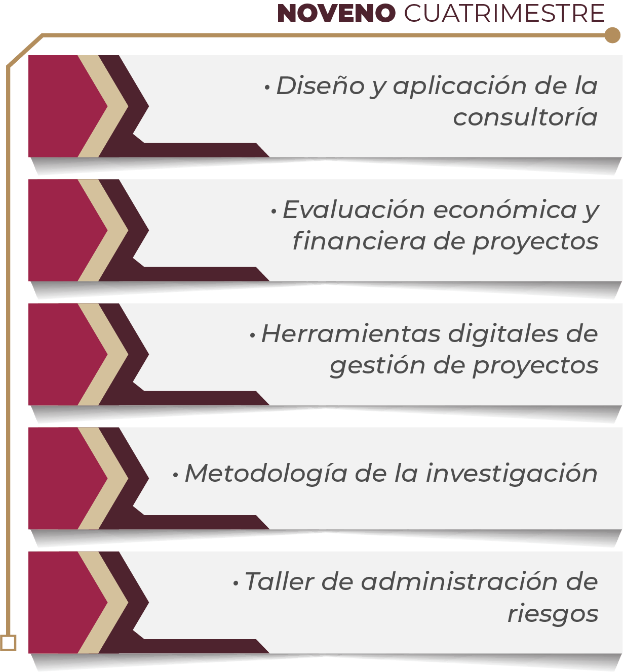 MAPA CURRICULAR GESTIÓN